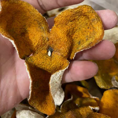 包邮农户家天马陈皮天马原枝陈皮天马圈枝 这...