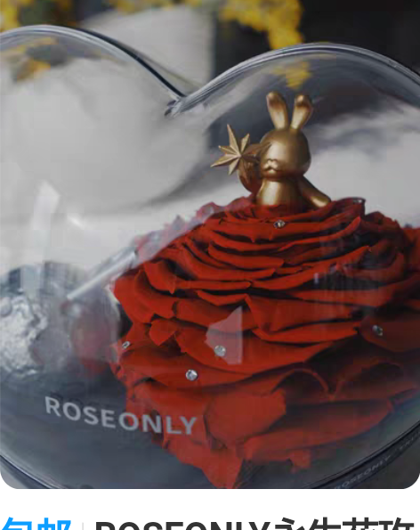 包邮ROSEONLY永生花玫瑰星球礼盒甜心...