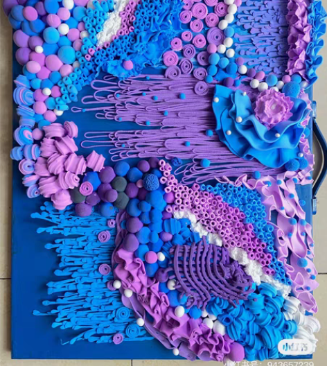 包邮小红书获赞收藏3000+的作品，原是服...