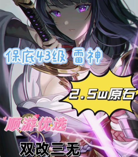 43级 雷神雷电将军+2.5w原石 双改三...