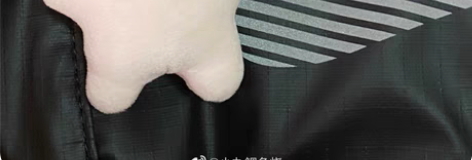 【已收】嘻嘻我收到啦  标价内收一个小猪包...
