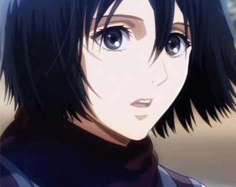 包邮【已预订】三笠cos全套 c服+38码...