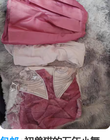 包邮初兽猫的五年小舞2.0，l码，只穿过两...