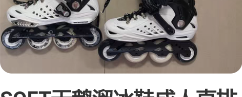 SOFT天鹅溜冰鞋成人直排轮滑鞋成年花式旱...