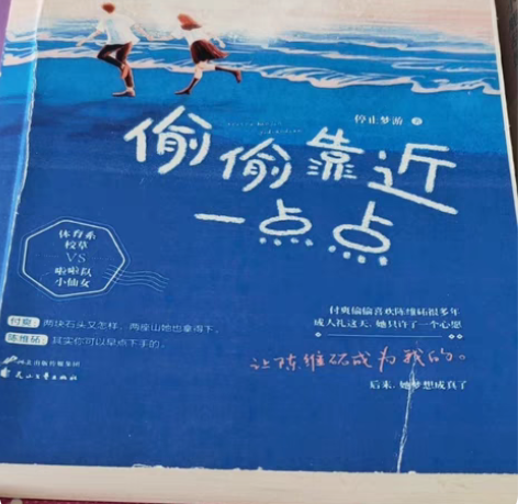 青春伤痛文学小说 你得小鹿乱撞 此意久久1...