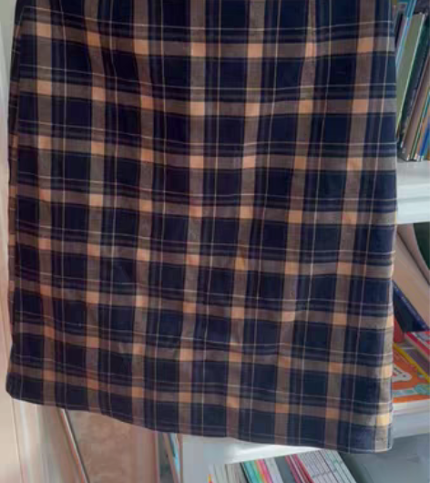 格子半裙(还没熨烫),穿过几次,直筒中裙,...