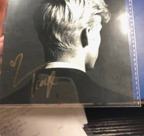 包邮单出Troye Sivan 戳爷  珍...