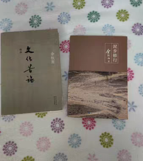 包邮两本余秋雨作品25包邮~九成新~价格可...