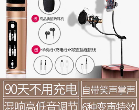 转卖EARISE/雅兰仕 A3全民k歌神器...