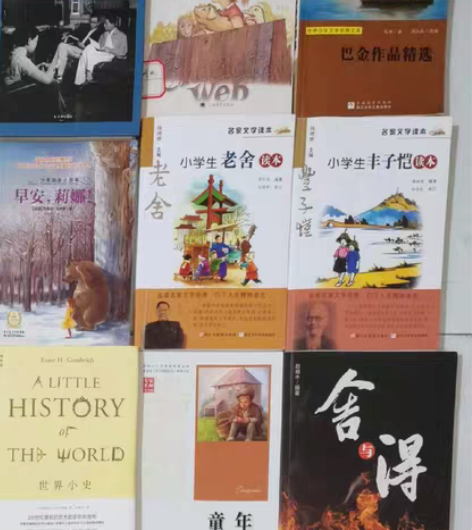 出闲置书籍 标价为均价 《傅雷家书》，《夏...
