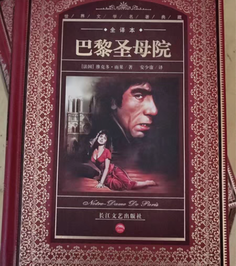 巴黎圣母院 感兴趣的话点“我想要”和我私聊...