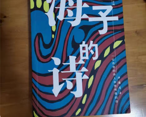 书名：《海子的诗》 主编：周易 出版社：中...