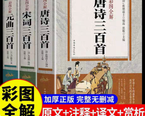 彩图全解唐诗宋词元曲三百首正版全集书全古诗...