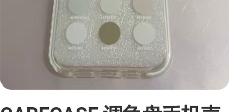 CARECASE 调色盘手机壳 苹果12/...