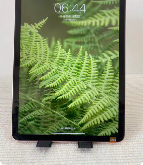 自己用的 iPad Air 4 9成新（保...