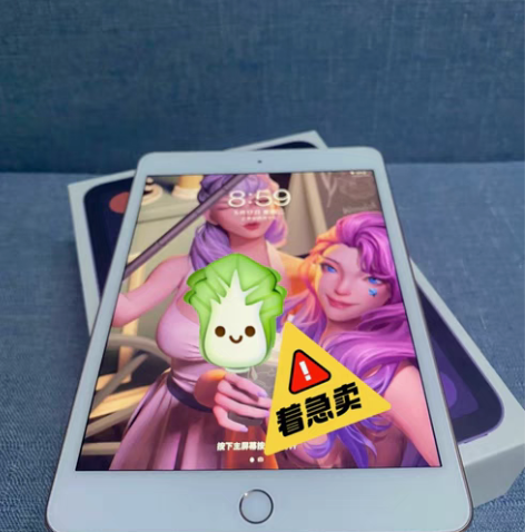 包邮ipad平板mini5，256g，wi...