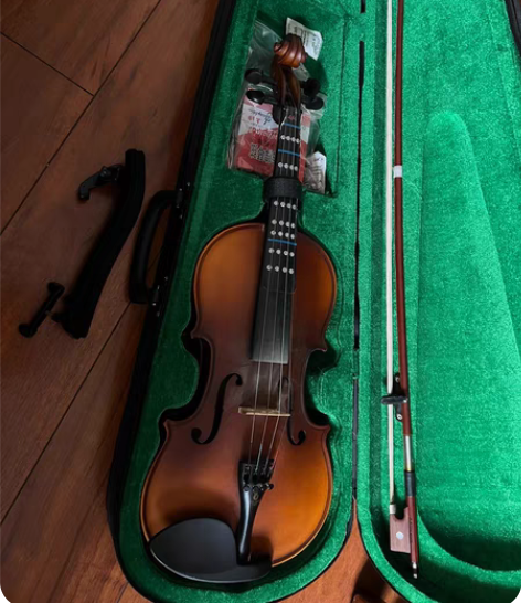 凤灵小提琴 备用琴弦，肩托，琴盒 95新 ...