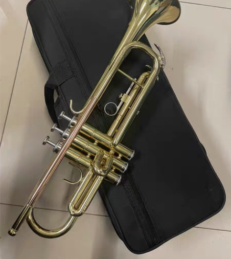 小号全新未拆封，一次未用。箱款。乐器店不开...