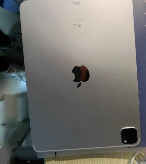 iPad pro2021银色512gwfl...