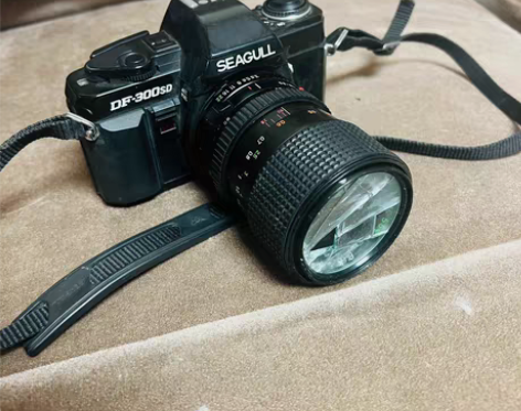 包邮seagull300ds成色如图 感兴...