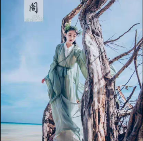 司南阁原创清平调子宋制汉服女款交领长衫大袖...