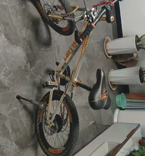 菲利普 24，车轮20寸， 山地自行车  ...