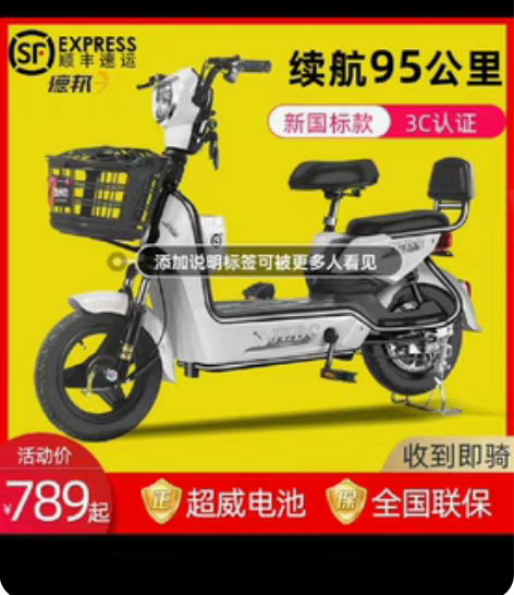 包邮加州豹电动车新国标电瓶48V小型代步助...