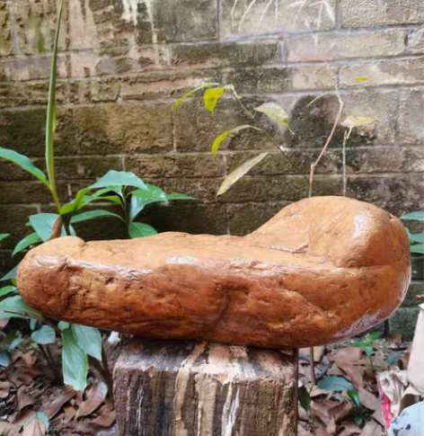 包邮河石  泯江河流大品黄蜡石。茶品台.奇...