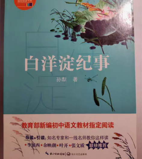 《白洋淀纪事》据说写得很好，但是我看不懂，...