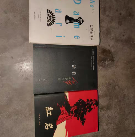 包邮红岩，活着，巴黎圣母院三本九成新 红岩...