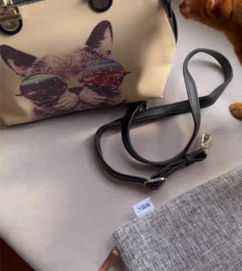 包邮稻草人门店入手的手提包，可单肩背（配了...