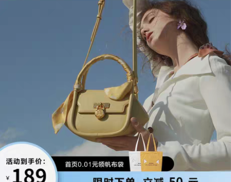 转卖【88狂欢价】纽芝兰高级感包包2021...