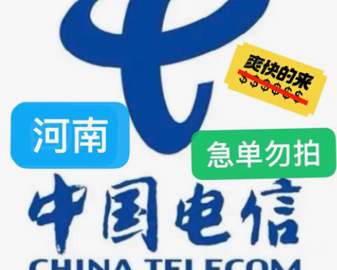 包邮河南电信充值96充100 下单需看： ...