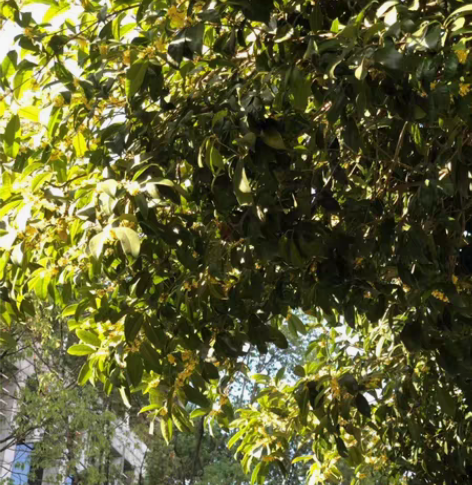 包邮浙江江苏移动联通电信手机话费充值400...