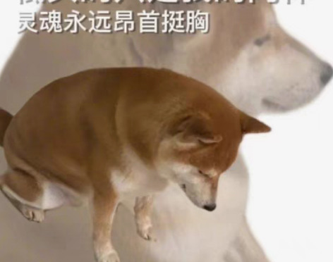 【原价慢收】新世界狂欢 主布儡八云次副团艾...