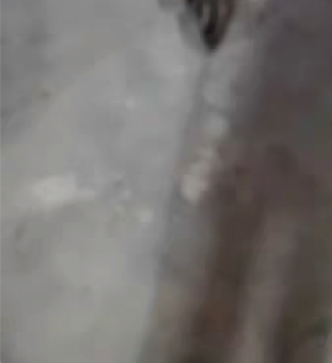 五羊本田弯梁125 手续都有脱审，一把原装...