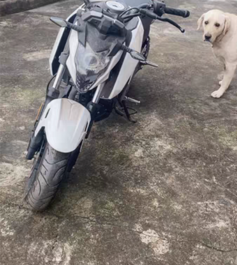 狒狒，1万公里。很新，无牌意思就是上不到拍...