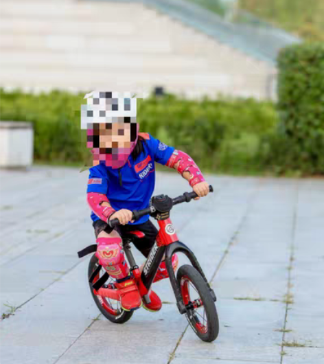 STRIDER全碳车架（限量版） DATI...