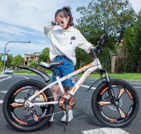 永久儿童自行车8-10-12岁中大童自行车...