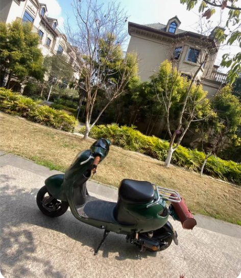 新大洲电动车48v 本身是银色的，自己改了...