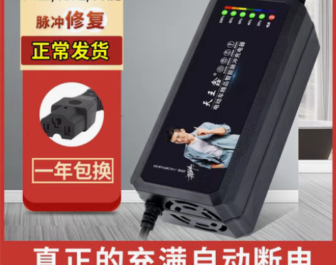 转卖自动断电智能电动车电瓶充电器48V12...