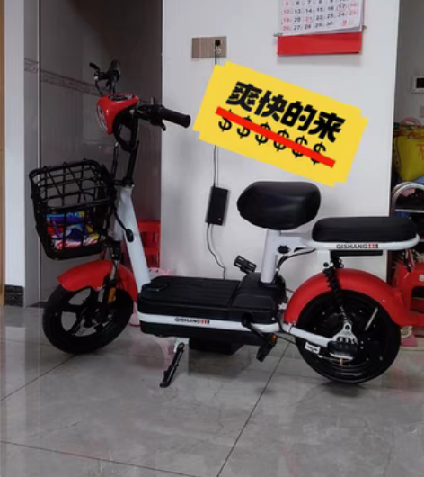 包邮【特价处理】全新新国标电动车爱玛小鸟雅...