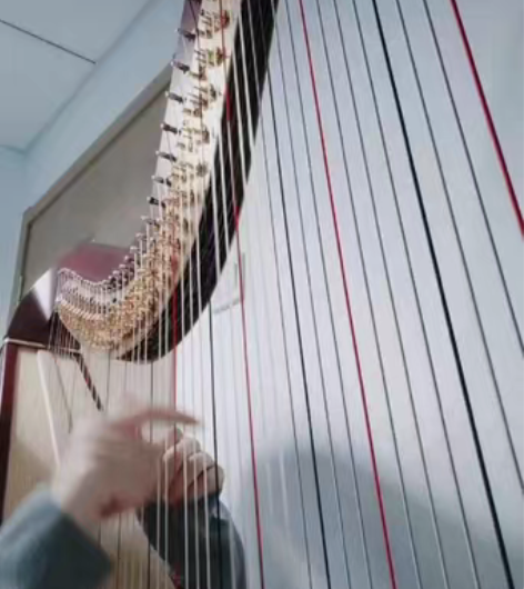 包邮北京竖琴老师～ 大家再学习竖琴和选购竖...