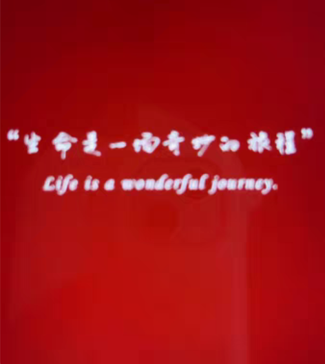 包邮婚礼邀请函排版，结婚邀请函，婚礼请帖设...