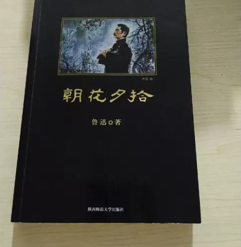 朝花夕拾 鲁迅  陕西师范大学出版社 正版...