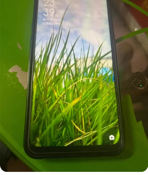 自用机OPPO A7x 功能齐全没任何问题...