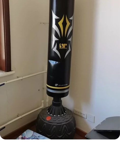 拳击沙袋，京东三百多买的，基本没用！ 感兴...