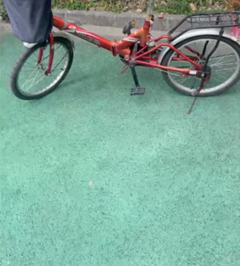 凤凰铝合金折叠自行车 功能正常使用 海宁许...
