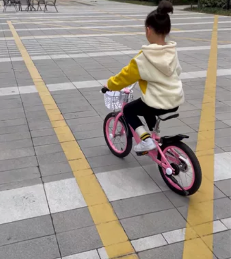 喜德盛小天使儿童自行车2-5-8岁14/1...