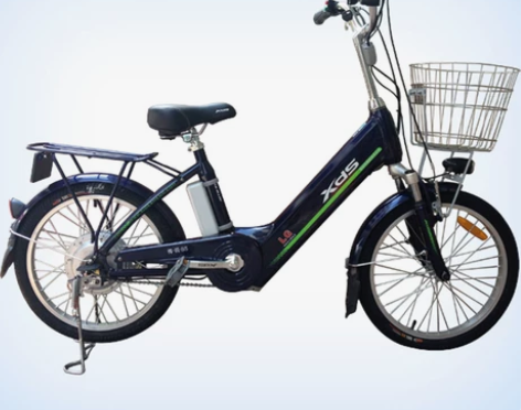 喜德盛电动车，48V12a锂电池，喜德盛x...